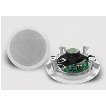 TS-206BL Потолочный громкоговоритель с Bluetooth